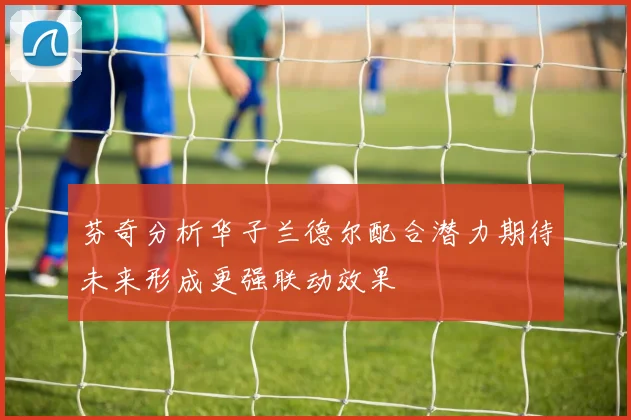 芬奇分析华子兰德尔配合潜力期待未来形成更强联动效果
